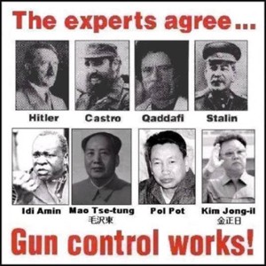 guncontrolworks